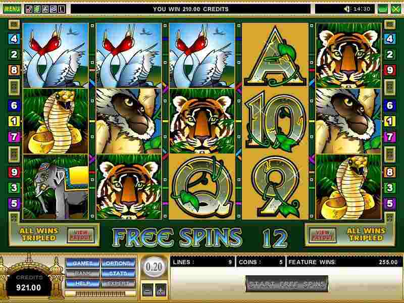 Winning screenshot for Adventure Palace